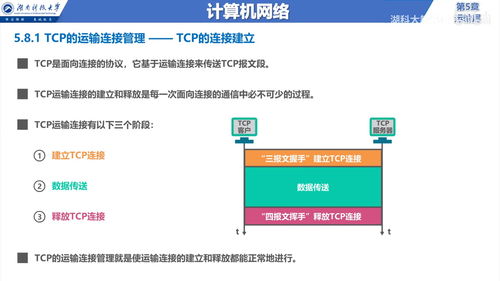 计算机网络信息咨询 深入解析运输层（第5层）的核心功能与应用